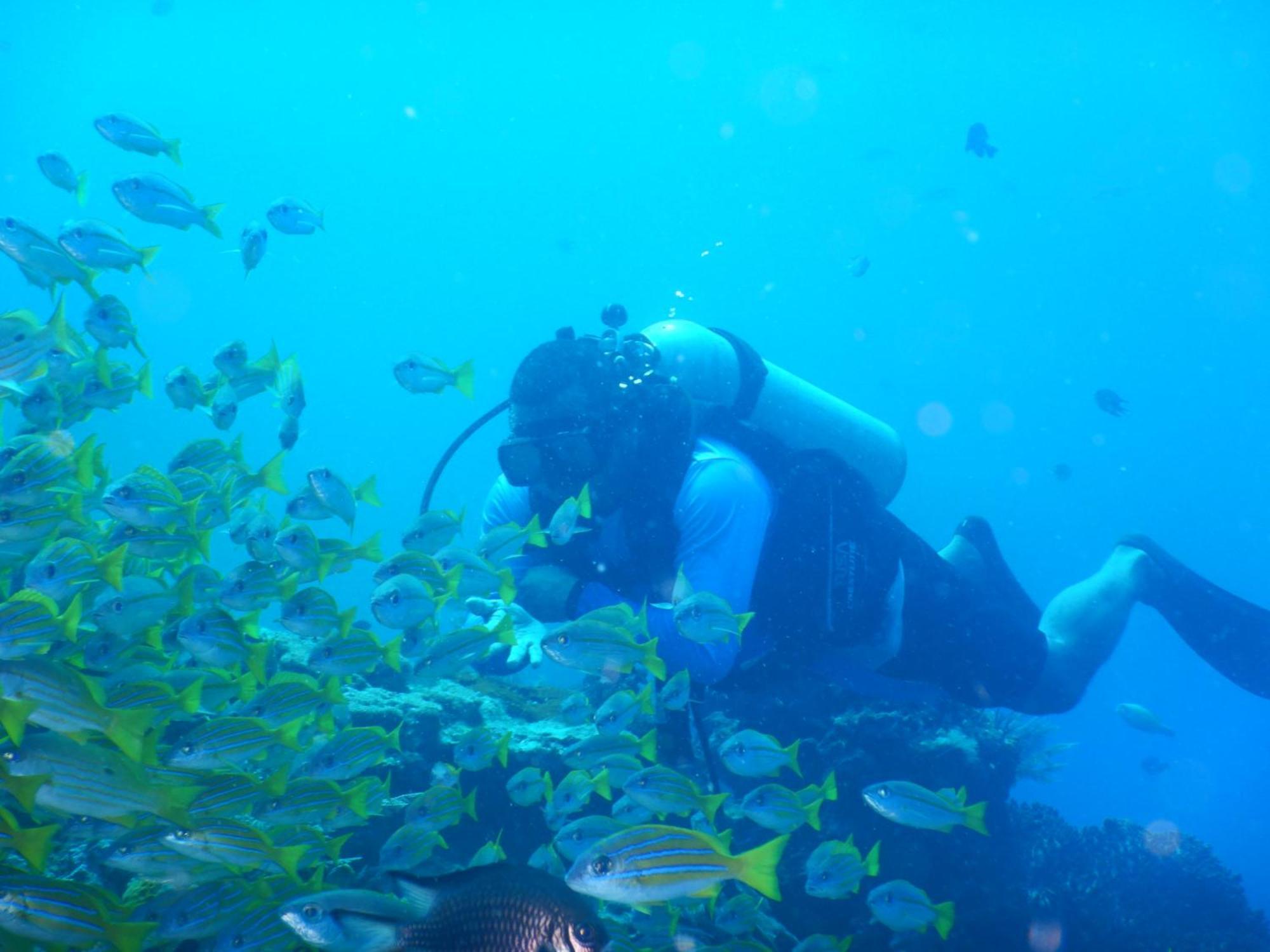 Raja Ampat Blue Sea Villa Besir Dış mekan fotoğraf